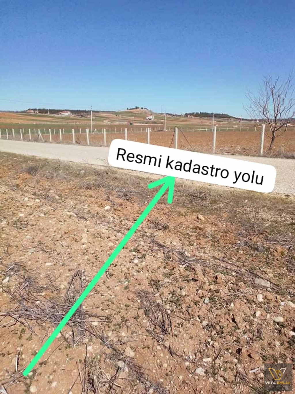 UŞAK SİVASLI YAYALARDA YOLA CEPHE 4.024 n2 SATILIK TALA
