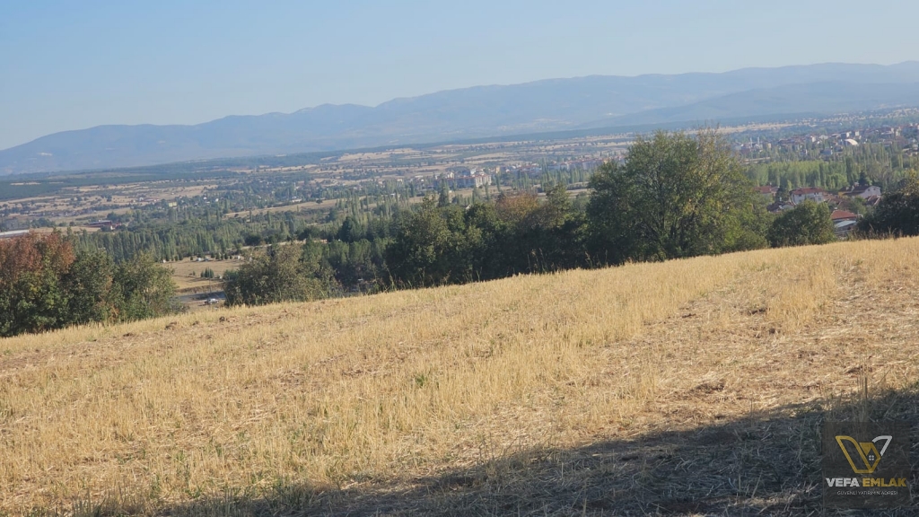 BANAZ MERKEZE YAKIN MESAFEDE 5.960 m2  SATILIK TARLA