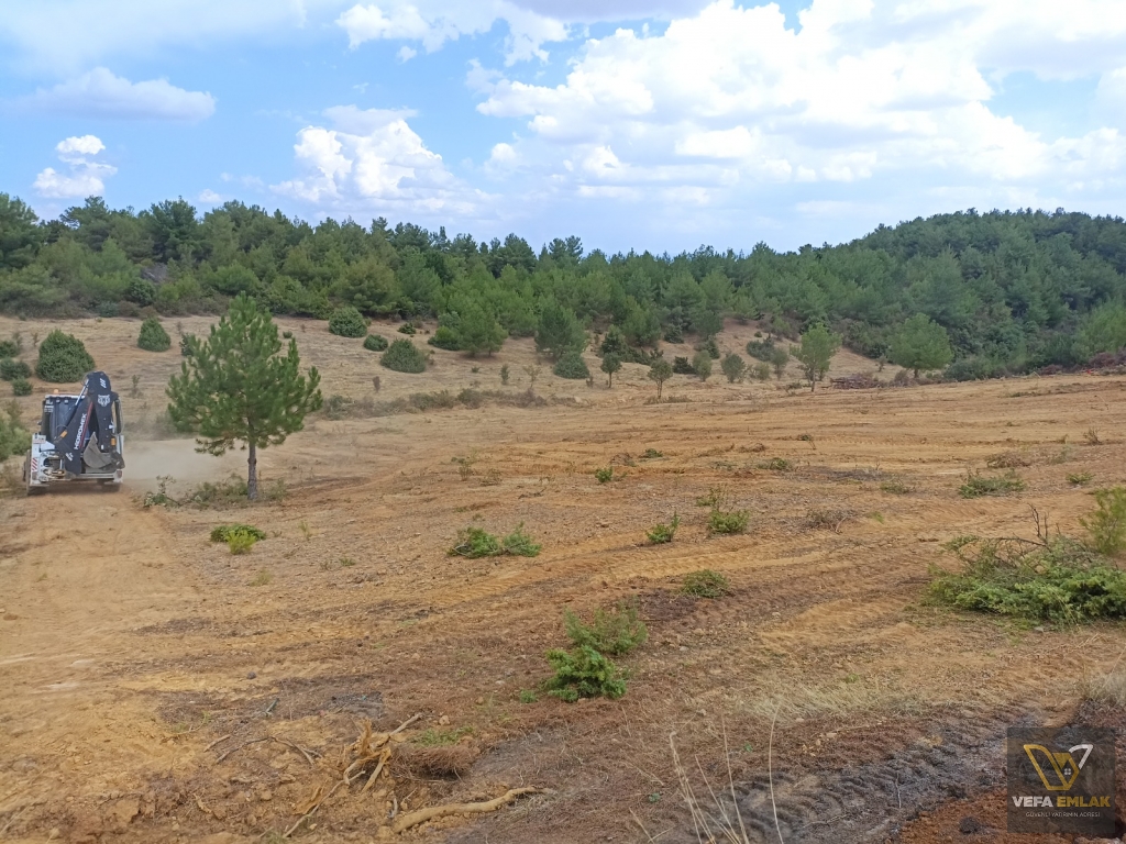 USAK CİGER DEDE KÖYÜ YAKININDA SATILIK 3.705 m2 SATILIK TARLA