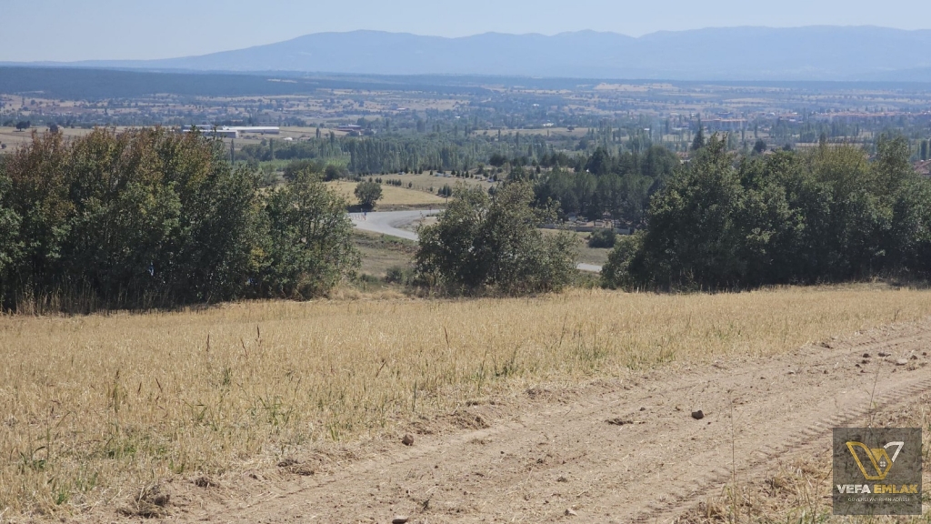 BANAZ MERKEZE YAKIN MESAFEDE 5.960 m2  SATILIK TARLA