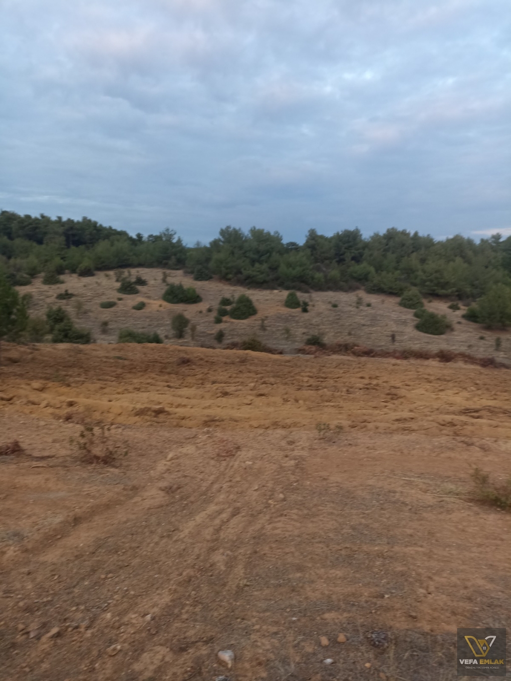 USAK CİGER DEDE KÖYÜ YAKININDA SATILIK 3.705 m2 SATILIK TARLA